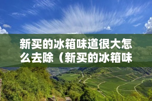 新买的冰箱味道很大怎么去除（新买的冰箱味道很大怎么去除掉）