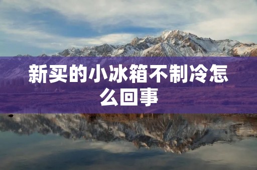 新买的小冰箱不制冷怎么回事