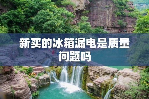 新买的冰箱漏电是质量问题吗