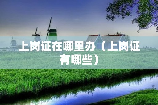 上岗证在哪里办(上岗证有哪些) 上岗证在哪里办(上岗证有哪些)
