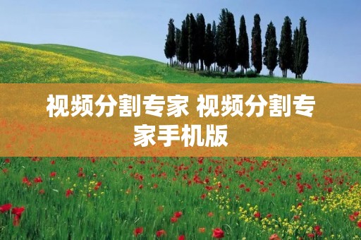 视频分割专家 视频分割专家手机版 视频分割专家 视频分割专家手机版