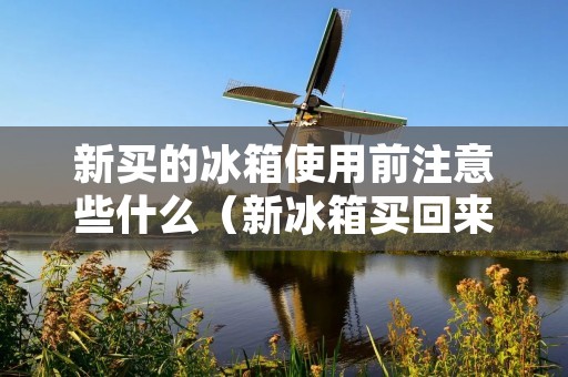 新买的冰箱使用前注意些什么(新冰箱买回来要清洗吗)