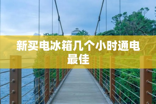 新买电冰箱几个小时通电最佳