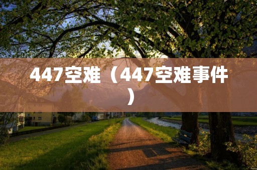 447空难(447空难事件) 447空难(447空难事件)