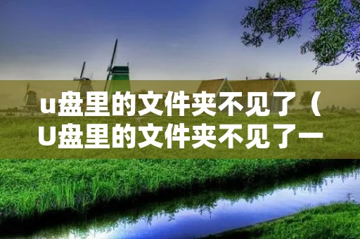 u盘里的文件夹不见了（U盘里的文件夹不见了一个）