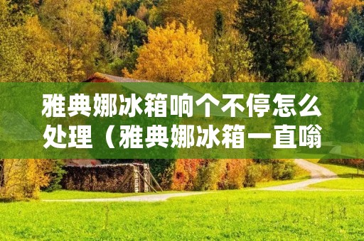 雅典娜冰箱响个不停怎么处理(雅典娜冰箱一直嗡嗡的响怎么办)