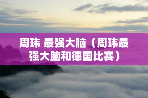 周玮 最强大脑(周玮最强大脑和德国比赛) 周玮 最强大脑(周玮最强大脑和德国比赛)