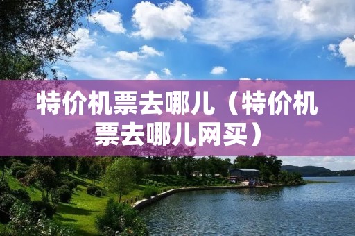 特价机票去哪儿(特价机票去哪儿网买) 特价机票去哪儿(特价机票去哪儿网买)