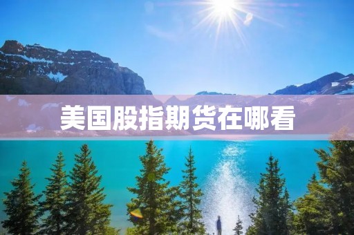 美国股指期货在哪看 美国股指期货在哪看