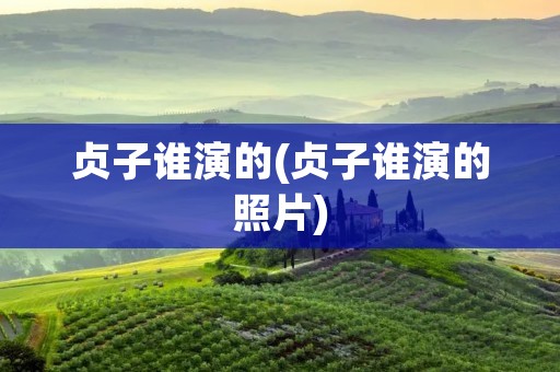 贞子谁演的(贞子谁演的照片) 贞子谁演的(贞子谁演的照片)