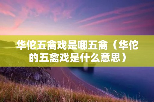 华佗五禽戏是哪五禽(华佗的五禽戏是什么意思) 华佗五禽戏是哪五禽(华佗的五禽戏是什么意思)
