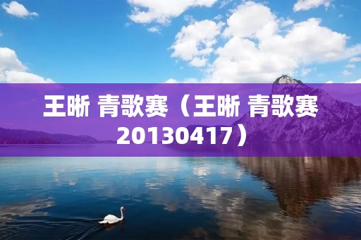 王晰 青歌赛(王晰 青歌赛20130417) 王晰 青歌赛(王晰 青歌赛20130417)