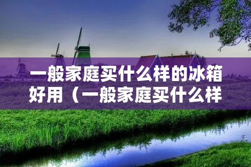 一般家庭买什么样的冰箱好用(一般家庭买什么样的冰箱好用呢)