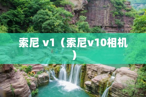 索尼 v1(索尼v10相机) 索尼 v1(索尼v10相机)