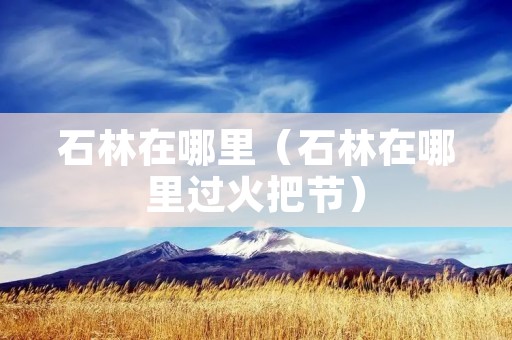石林在哪里（石林在哪里过火把节）