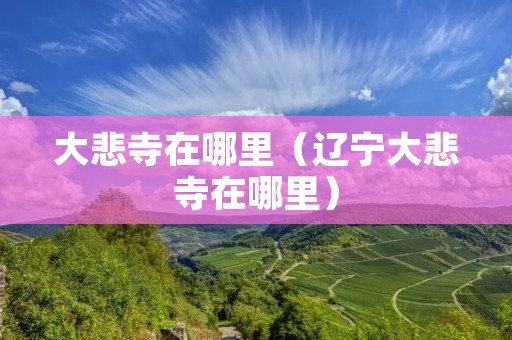大悲寺在哪里（辽宁大悲寺在哪里）