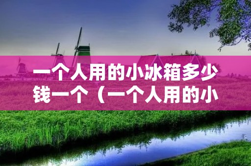 一个人用的小冰箱多少钱一个(一个人用的小冰箱多少钱一个小时)