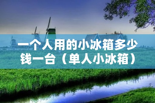 一个人用的小冰箱多少钱一台(单人小冰箱)