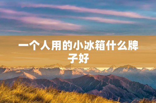 一个人用的小冰箱什么牌子好
