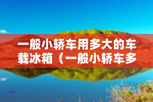 一般小轿车用多大的车载冰箱(一般小轿车多大冰箱能装下)