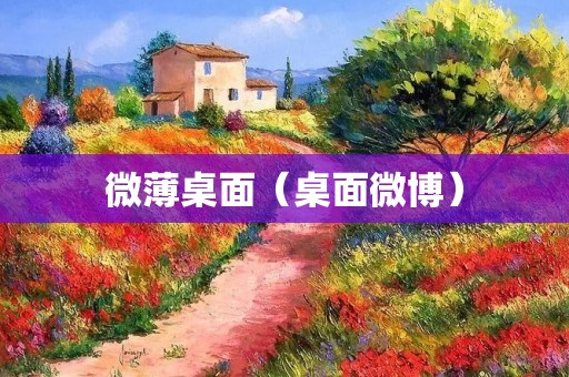 微薄桌面（桌面微博）