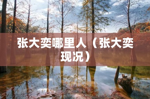 张大奕哪里人（张大奕现况）