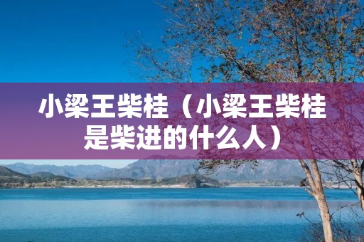 小梁王柴桂（小梁王柴桂是柴进的什么人）