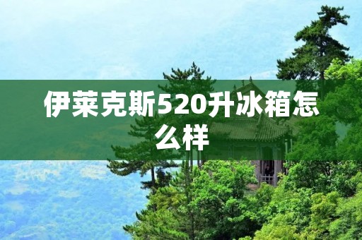 伊莱克斯520升冰箱怎么样