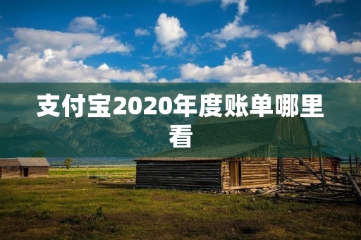 支付宝2020年度账单哪里看 支付宝2020年度账单哪里看