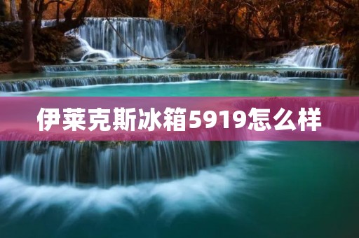 伊莱克斯冰箱5919怎么样