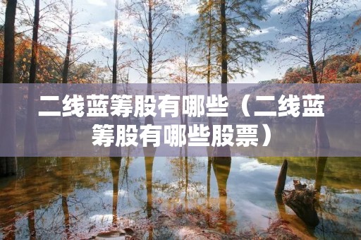 二线蓝筹股有哪些（二线蓝筹股有哪些股票）