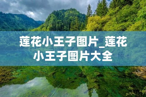 莲花小王子图片_莲花小王子图片大全