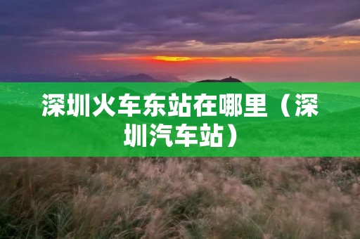深圳火车东站在哪里(深圳汽车站) 深圳火车东站在哪里(深圳汽车站)
