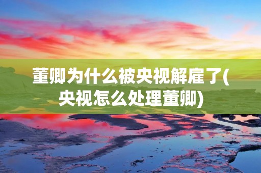 董卿为什么被央视解雇了(央视怎么处理董卿)