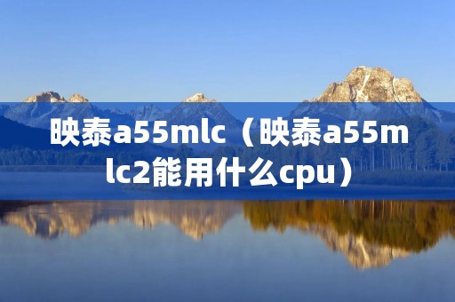 映泰a55mlc(映泰a55mlc2能用什么cpu) 映泰a55mlc(映泰a55mlc2能用什么cpu)