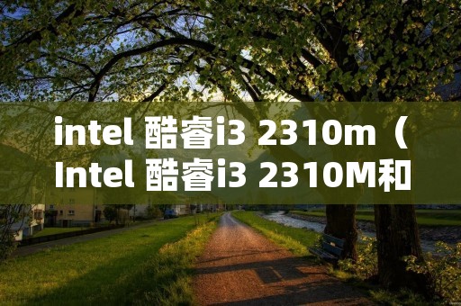 intel 酷睿i3 2310m（Intel 酷睿i3 2310M和i3 390M哪个好）