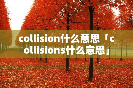 collision什么意思「collisions什么意思」