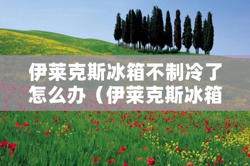 伊莱克斯冰箱不制冷了怎么办(伊莱克斯冰箱不制冷了怎么办呢)