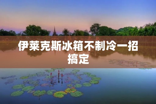 伊莱克斯冰箱不制冷一招搞定