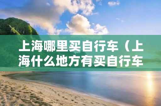 上海哪里买自行车（上海什么地方有买自行车）