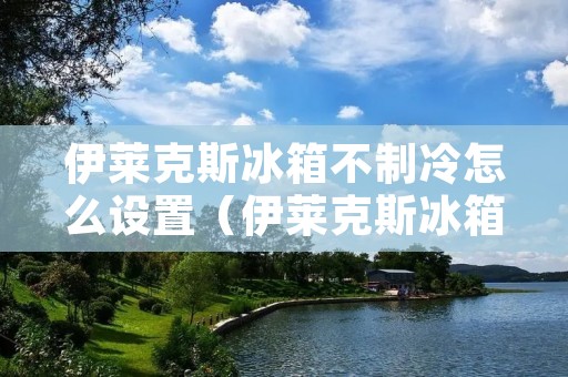 伊莱克斯冰箱不制冷怎么设置(伊莱克斯冰箱不制冷怎么设置时间)