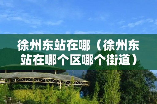 徐州东站在哪（徐州东站在哪个区哪个街道）