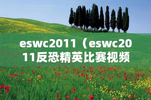 eswc2011（eswc2011反恐精英比赛视频）
