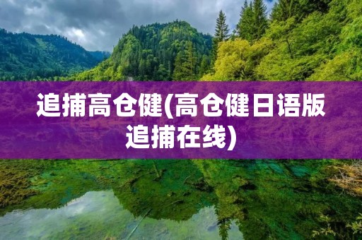 追捕高仓健(高仓健日语版追捕在线)