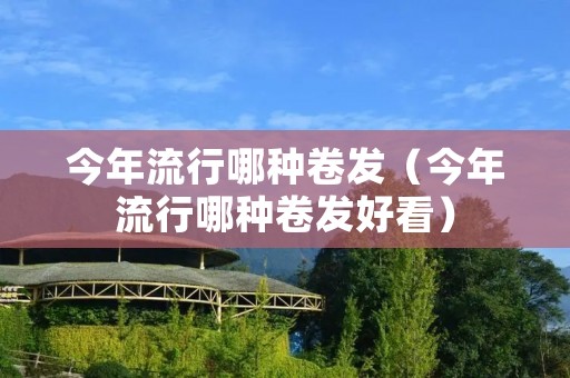 今年流行哪种卷发（今年流行哪种卷发好看）