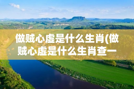 做贼心虚是什么生肖(做贼心虚是什么生肖查一下)