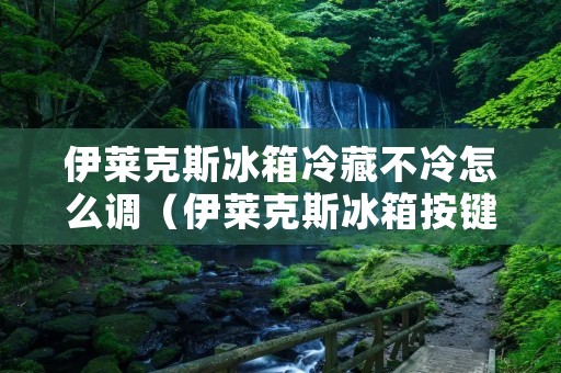 伊莱克斯冰箱冷藏不冷怎么调（伊莱克斯冰箱按键图解）