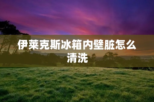 伊莱克斯冰箱内壁脏怎么清洗