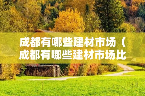 成都有哪些建材市场（成都有哪些建材市场比较好）