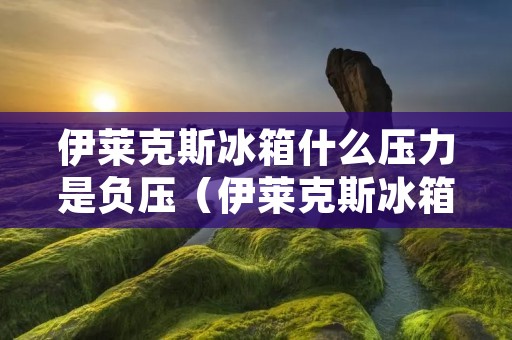 伊莱克斯冰箱什么压力是负压（伊莱克斯冰箱的压缩机）